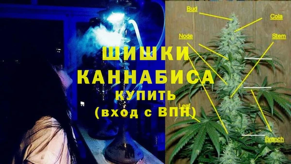 эйфоретик Михайлов
