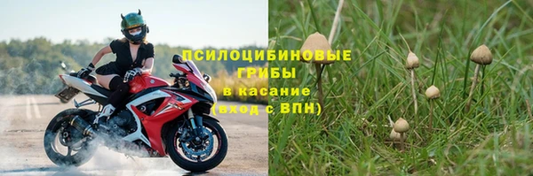 ГАЛЛЮЦИНОГЕННЫЕ ГРИБЫ Михайловск