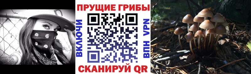 Галлюциногенные грибы MAGIC MUSHROOMS  Купить  Николаевск-на-Амуре 