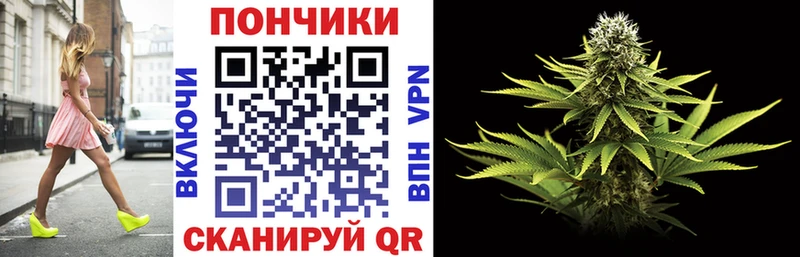 Купить закладки  Николаевск-на-Амуре  Каннабис Ganja 